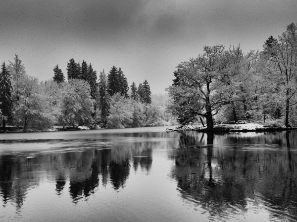 20150120-_09A7462-Bearbeitet-3